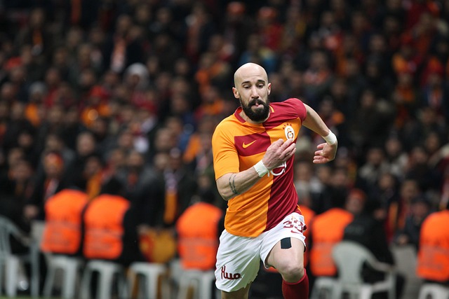 後期占得上 後期占得上