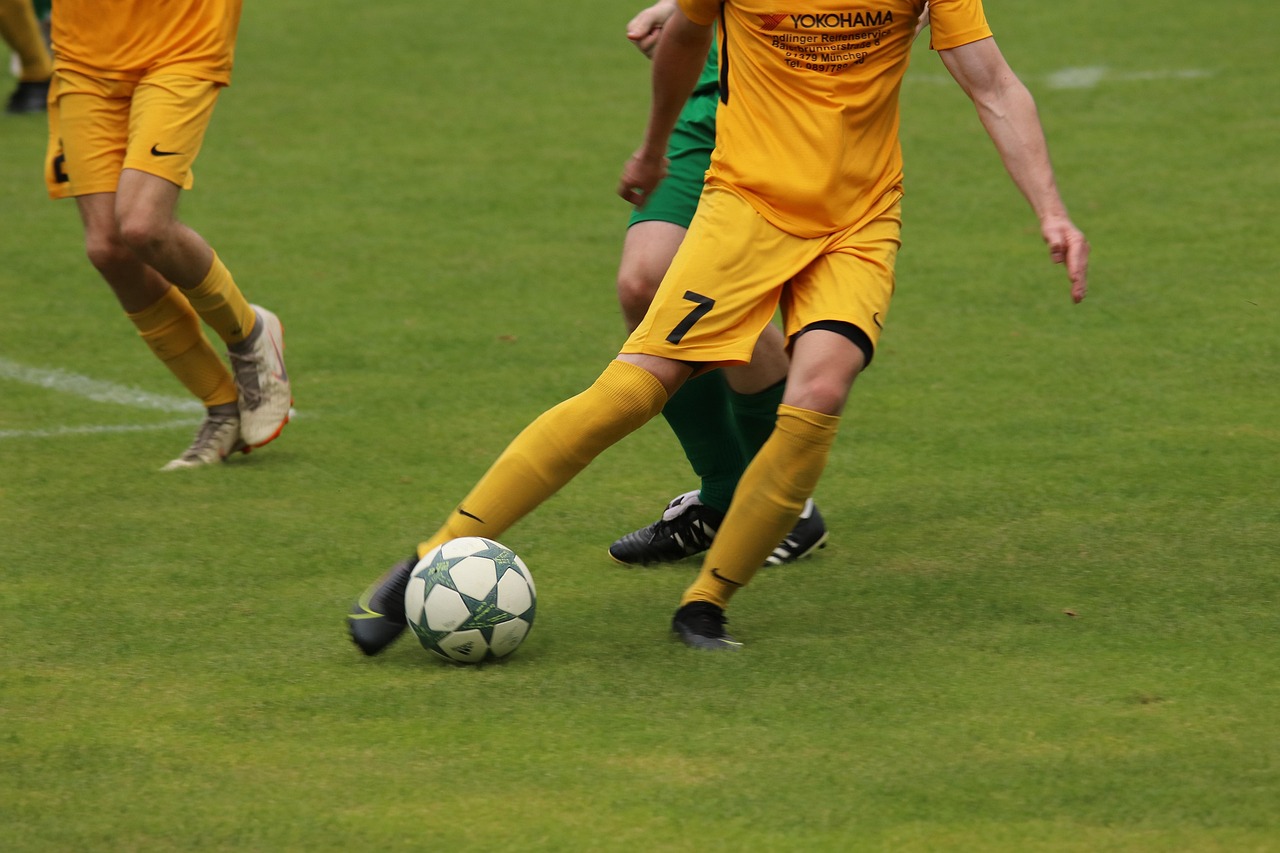 取了积极的 取了积极的