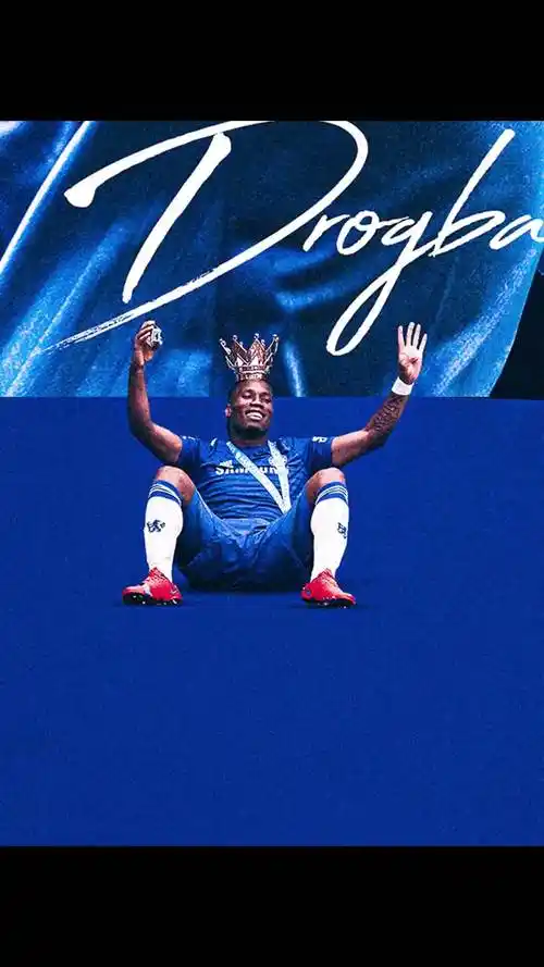 的完美展現 的完美展現